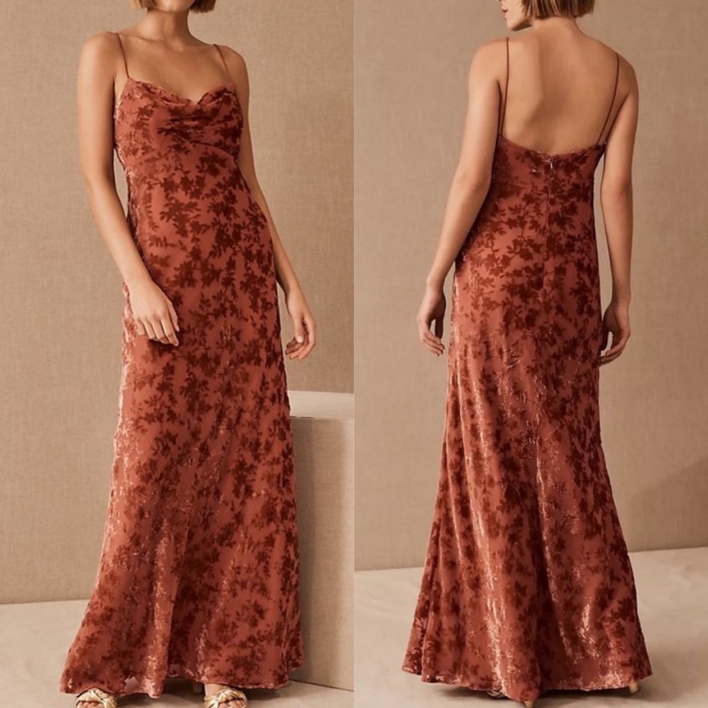 BHLDN Jenny Yoo Rory Dress Velvet Burnout Gown English Rose 10